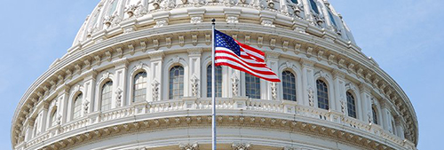 An image of the Capital Building in Washington D.C.